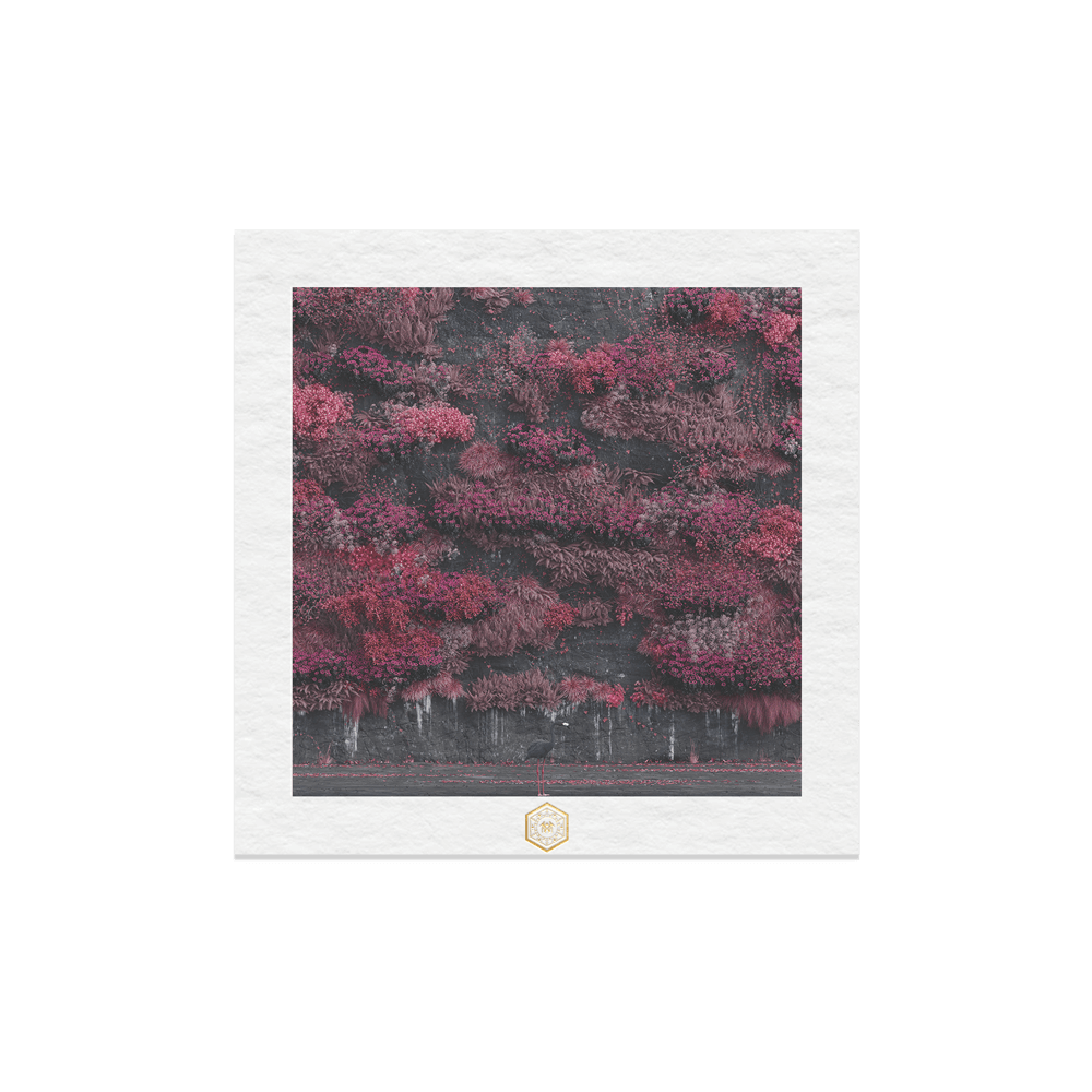Even In Arcadia | Print