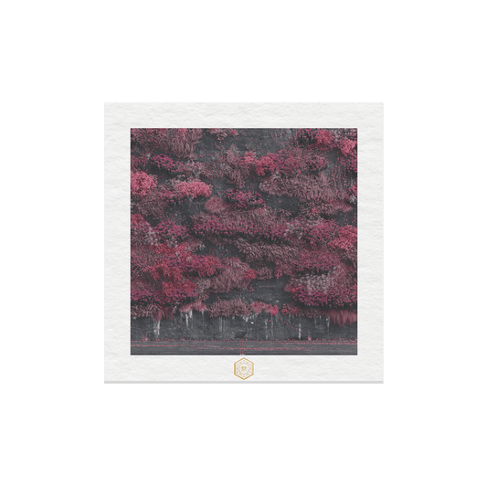 Even In Arcadia | Print